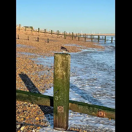 Ebb N Flow - Winchelsea Beach - Nature Reserve & Beach Views Exterior photo