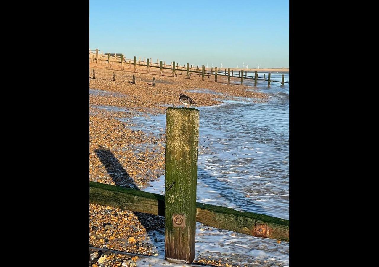 Ebb N Flow - - Nature Reserve & Views
